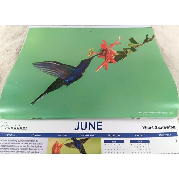 Audubon Society 2024 Wall Calendar 12 Months Protecting Birds and Nature - Picture 7 of 12